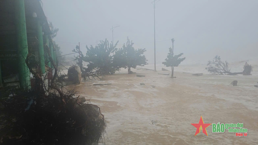 Thừa Thiên Huế: Nước biển dâng cao, nhiều cây xanh ngã, đổ